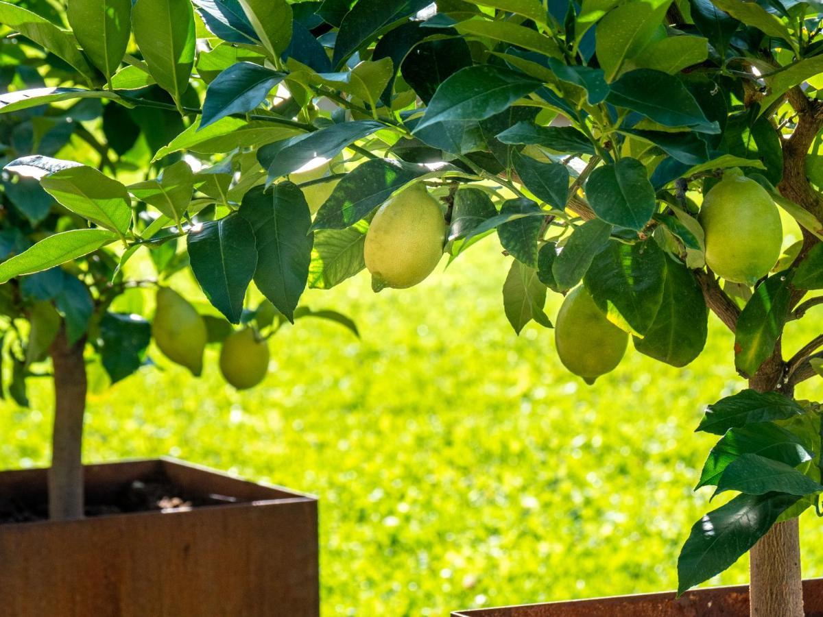 Gartenheim Tramin Термено Екстер'єр фото
